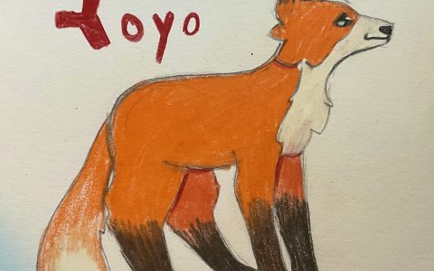 "Yoyo the Fox from WorstMiner77's shop!"
