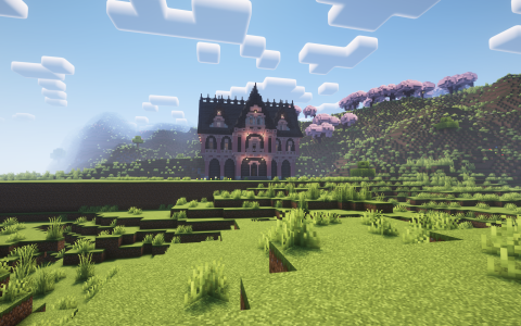 "Blom's base (taken with her permission)"